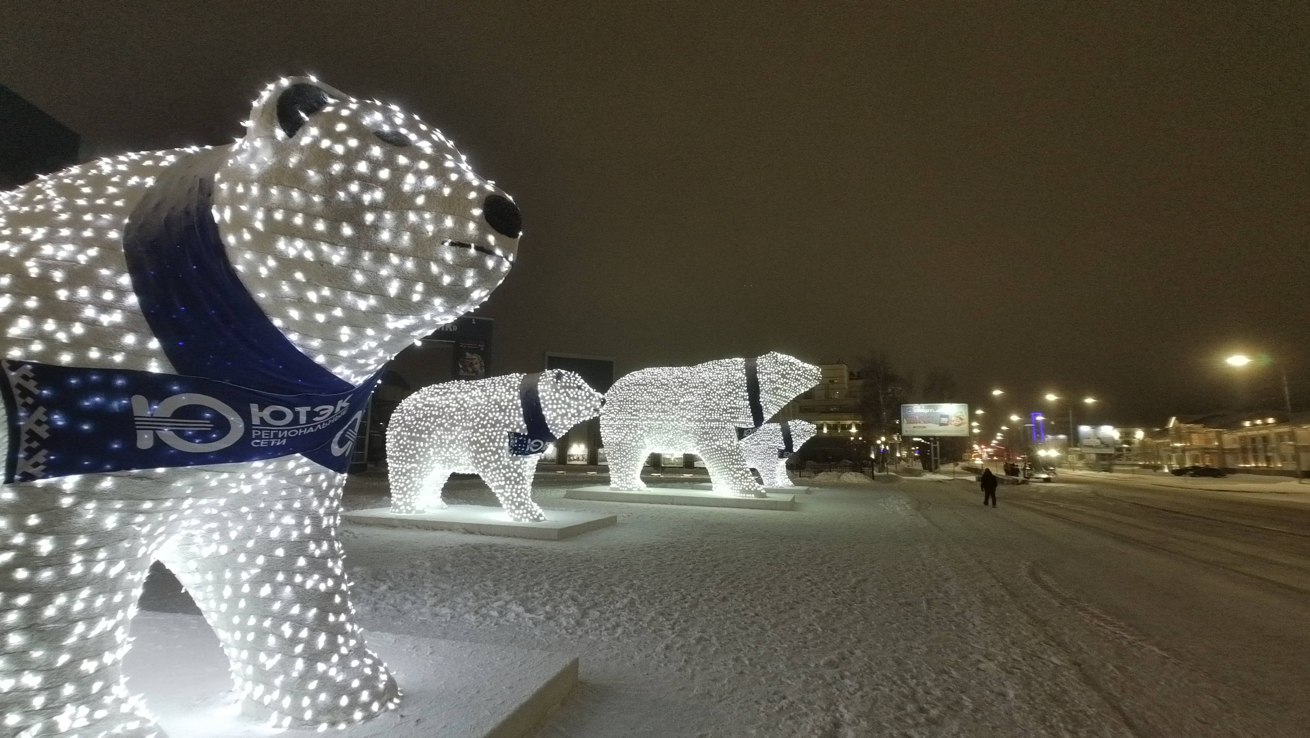 Местные белые медведи