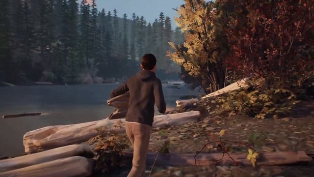 Life Is Strange 2 - Путешествие братюнь! #2