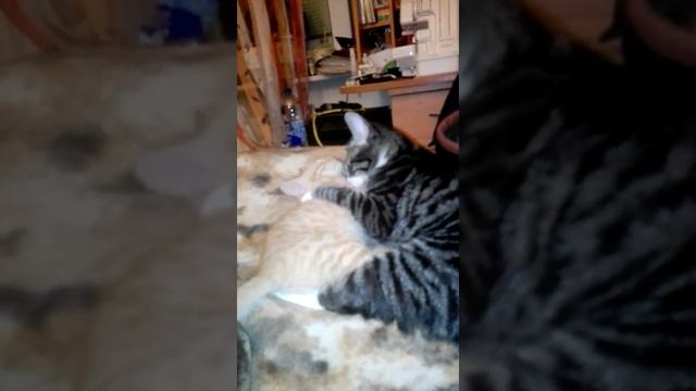 Не знаешь где найдешь где потеряешь смотреть онлайн