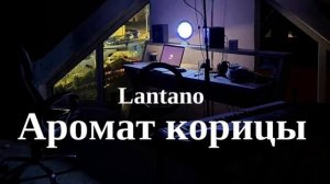 Lantano - Аромат корицы (на всех площадках по ссылке в описании)