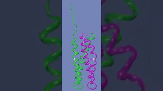 Conformations of a sensor histidine kinase смотреть онлайн