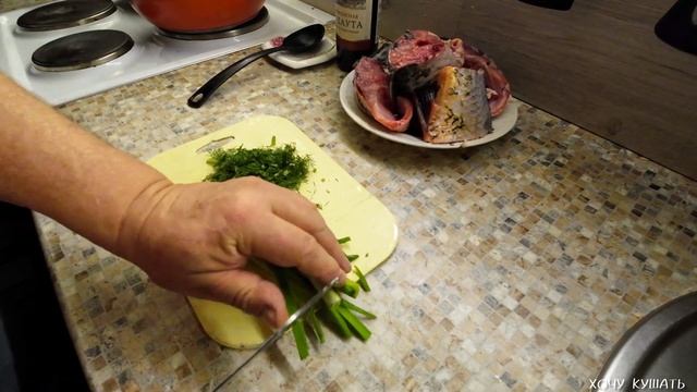 РЫБНЫЙ СУП И ОЛАДЬИ ИЗ ИКРЫ САЗАНА👍 смотреть онлайн