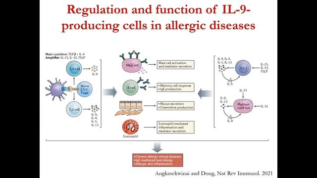 Lecture 05 Importance of Th9 and Th17 in physiology and diseases Dr Ritobrata Goswami, Ph D смотреть онлайн