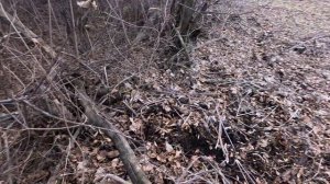 ПЕРВЫЙ КОП МЕТАЛЛА В НОВОМ ГОДУ 01.01.2025