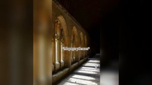 фф из тик тока про Драко Малфоя и т/и "больше чем враги" 💚🐍 часть 13