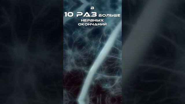 Что такое фасция? #фасция #массаж #мфр #перкуссионныймассаж #перкуссионныймассажер смотреть онлайн