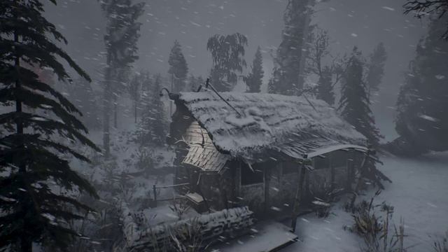 5 ЧАСОВ ЗВУКОВ ВЕТРА для СНА - Завывание снежной бури, вьюги смотреть онлайн