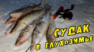 РЫБАЛКА Без ПОНТОВ! Ищем Бурим Ловим! Ловля судака на виб и блесну. Зимняя рыбалка 2024. ОВХ Гумёнка