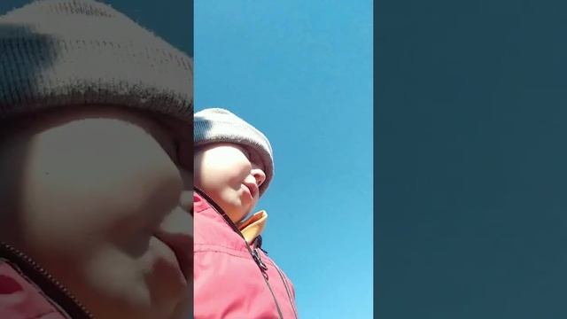 Мы едим сосиски смотреть онлайн