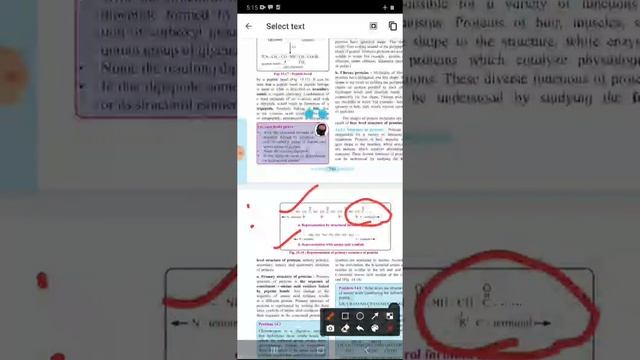 Chapter 14: Biomolecules Peptide bond and proteins смотреть онлайн