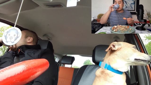ASMR Eating Seafood Mix & Udon + Road Trip With Dog смотреть онлайн