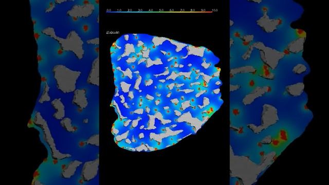 Examination of the Effects of Heterogeneous Organization of RyR Clusters, Myofibrils... смотреть онлайн