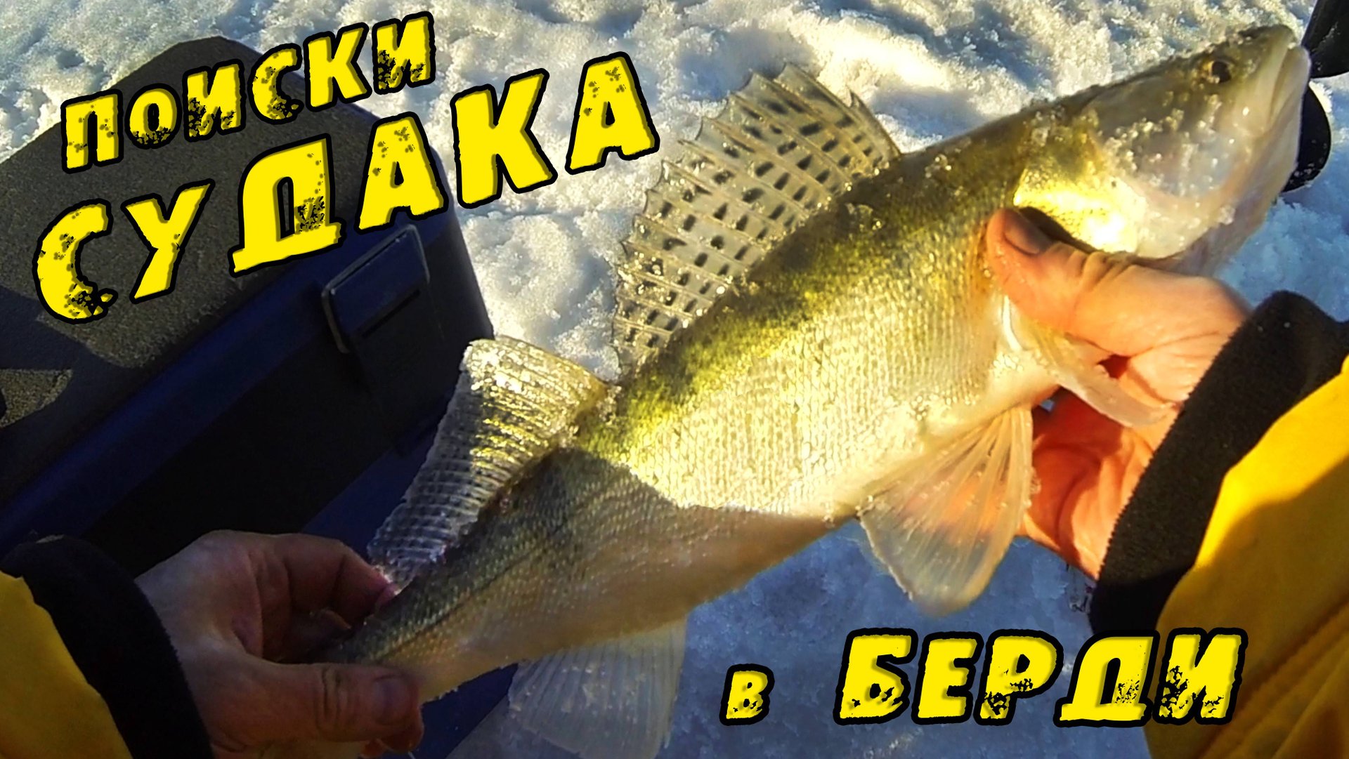 Подход за Подходом! КРУПНЯК СПИТ зовите БАТЮ! Зимняя рыбалка на реке Бердь. СУДАК зимой 2023! смотреть онлайн