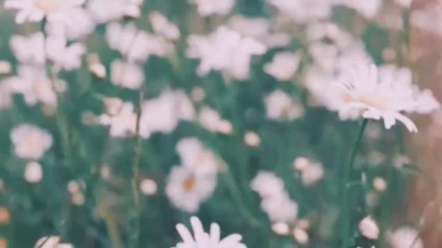 Lose you to love me- Selena Gomez || short cover by Its SugarLemon смотреть онлайн