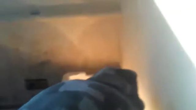сухопутна черепаха смотреть онлайн
