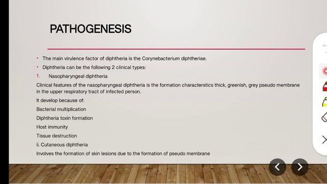 Gram Positive Bacilli : Spore forming Bacilli - Part 4th !! смотреть онлайн