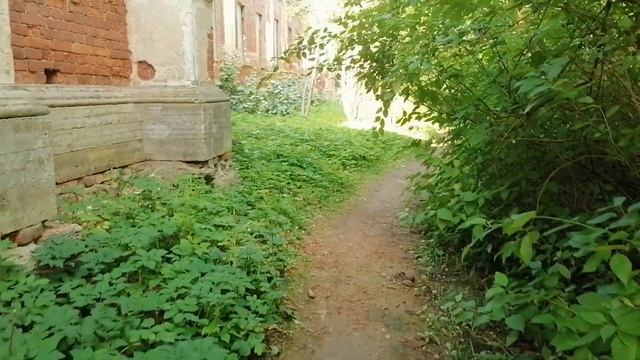 Усадьба "Знаменка". Конюшенный корпус (руины). 13.08.2023. смотреть онлайн