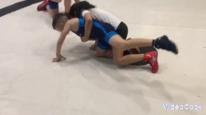 вольная борьба