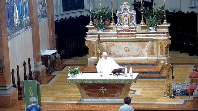 Live dalla Parrocchia dei Santi Pietro e Paolo di Copparo (FE) смотреть онлайн