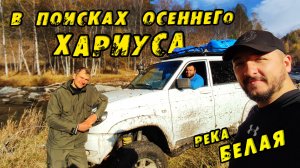 В ПОИСКАХ ОСЕННЕГО ХАРИУСА! Фильм ПРИКЛЮЧЕНИЕ! Экстремальная Рыбалка на Хариуса в долине реки ЧАРЫШ!