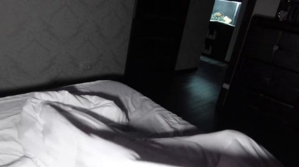 Давай МИРИТЬСЯ ?