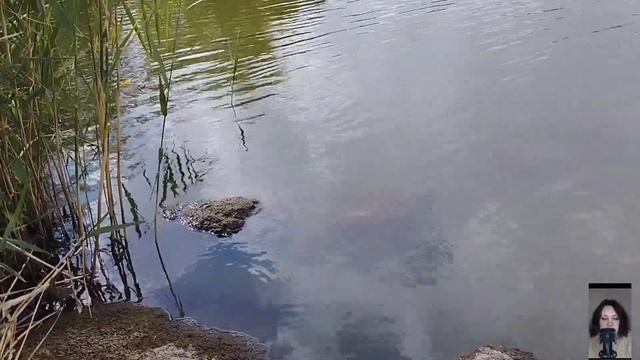 Наталья под руководством свекрови клеила обои в комнате, но в конце не выдержала и высказалась... смотреть онлайн