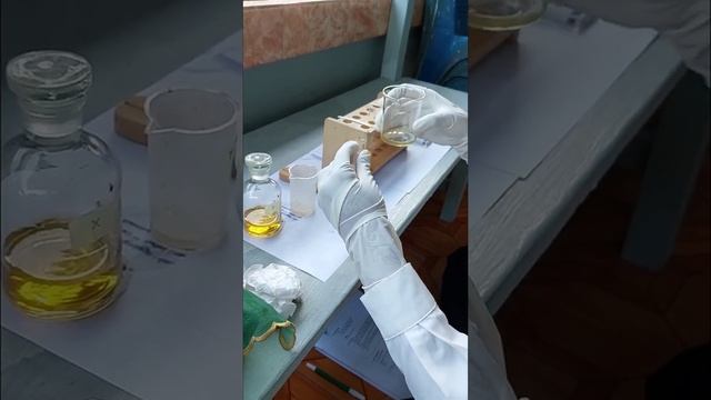 Uji pH Urin - Sistem Ekskresi kelas XI SMA/MA смотреть онлайн