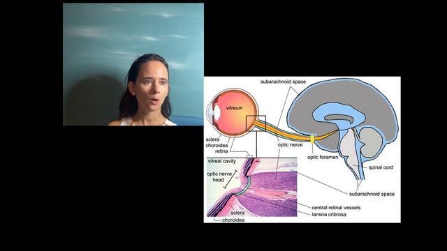 How color impacts our live perception #matisse #picasso #painting #Braque #colorgemstones #rainbow смотреть онлайн