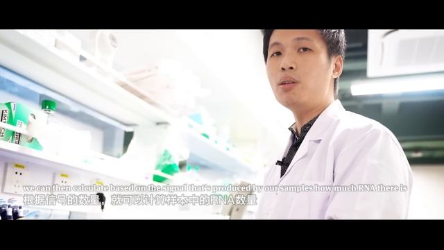 Singaporean scientist at Shenzhen Bay Lab смотреть онлайн