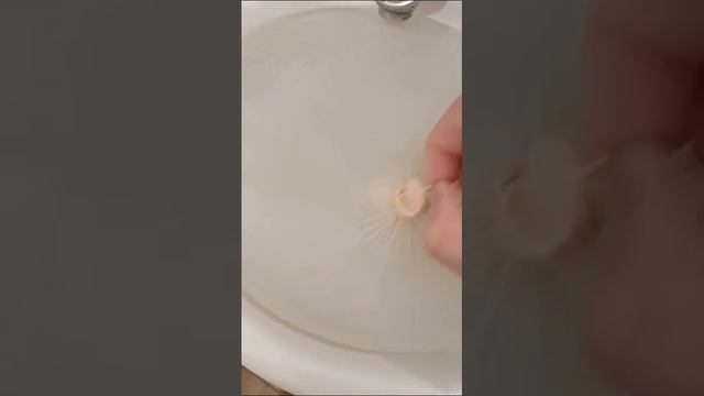 Надул шарик водой смотреть онлайн