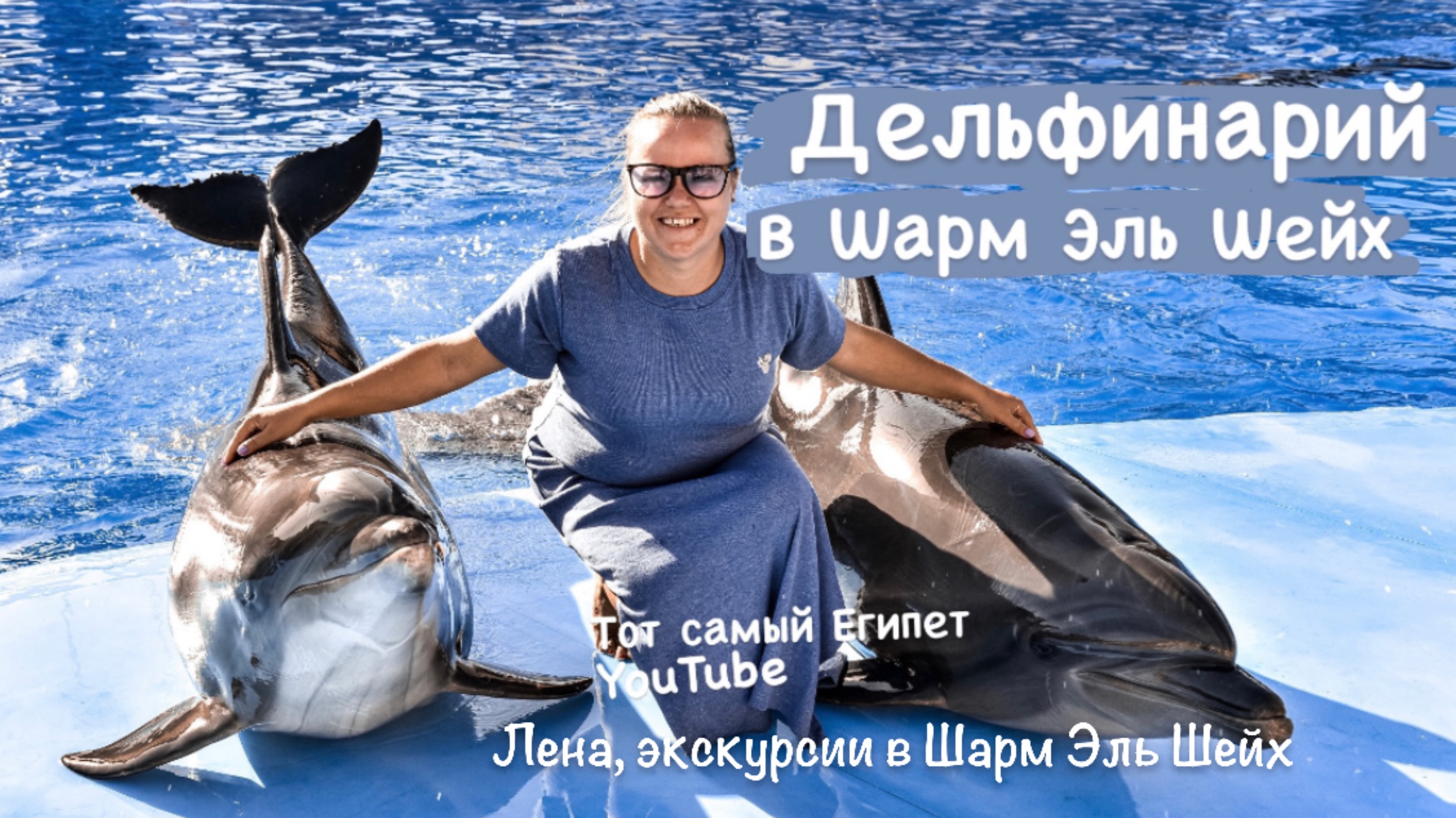 Экскурсии в Шарм Эль Шейх. Сколько стоит дельфинарий ? смотреть онлайн