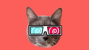 КОТИКИ В ШКОЛЕ ПРАЗДНУЮТ НОВЫЙ ГОД!.