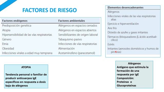 Fisiopatologia del ASMA смотреть онлайн