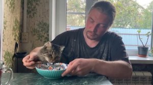 Котики и куриный бульон😃