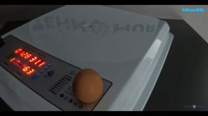 Инкубатор автоматический TH 64 на 220В или на 12В