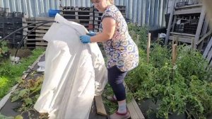 Тихая охота | Лес