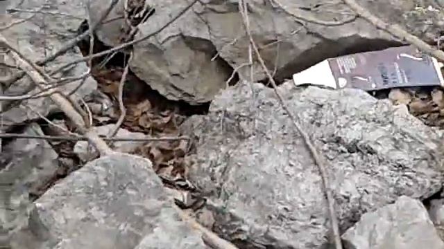 Волжский дружочек смотреть онлайн