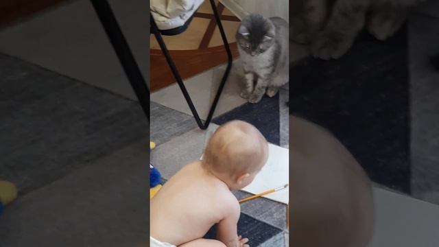 Кота учат рисовать😁Кот художник😊смешные коты и кошки )))