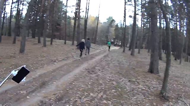 Vlog #63 20 миллионов лет эволюции в ПИ смотреть онлайн
