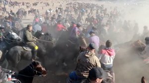 Улоки Карамазор 28.12.2024_ Бузкаши Самандар Кенжаев