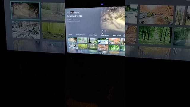 Внутренние приложения Philips 32PHS6808/12