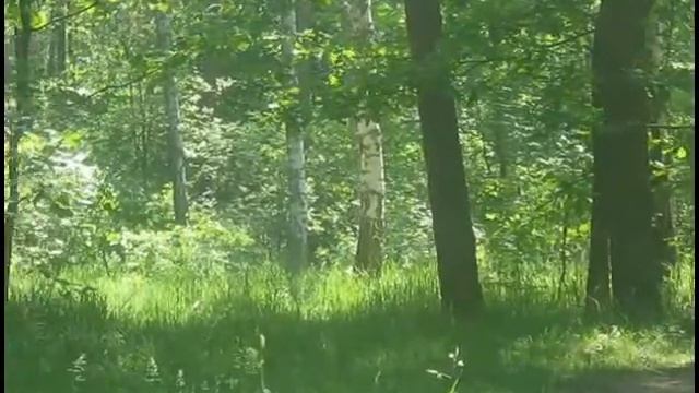 1.2 kg AN-based explosive. смотреть онлайн