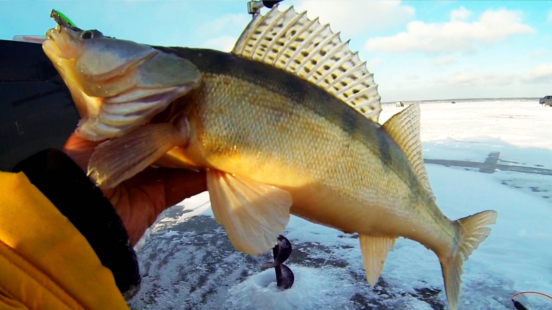 СУДАК на 2кг! ТОЛЬКО опустил РАТТЛИН и ОН ВЗЯЛ! Зимняя рыбалка в СПИРИНО. СУДАК НА ВИБЫ зимой 2023! смотреть онлайн