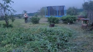 Приехали на заимку | Все тайное становится явным | Обзор ягодного поля