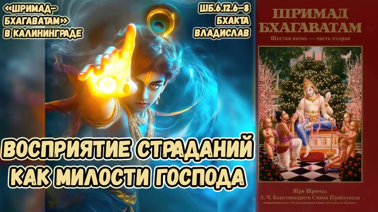 Восприятие страданий как милости Господа. Бхакта Владислав. ШБ 6.12.6–8