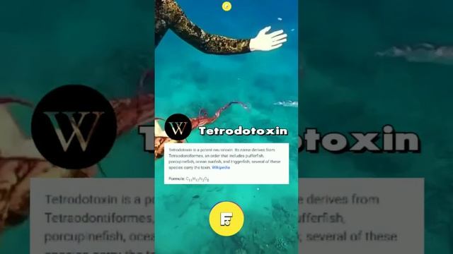 Cyanide से हज़ार गुना घातक 🙄 है यह समुद्री जीव। смотреть онлайн