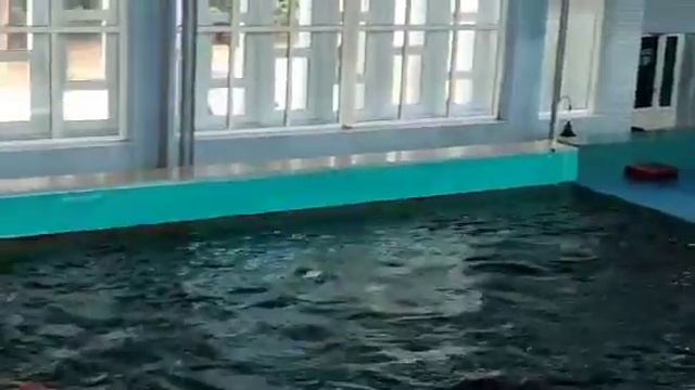 Курортное Дельфинарий обзор 21.09.22 смотреть онлайн