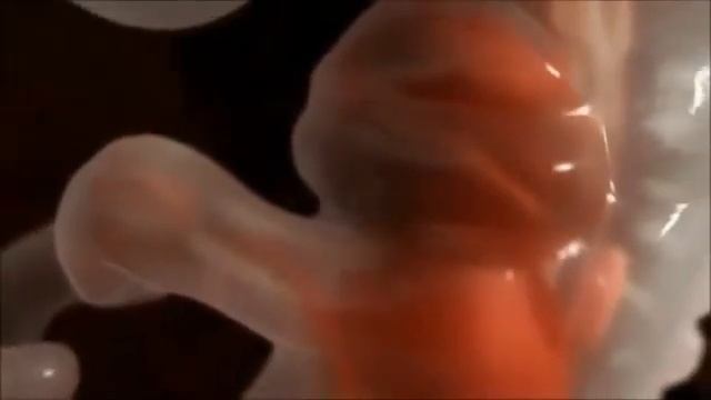 1-1-3 (2) смотреть онлайн