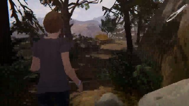 Life Is Strange Before The Storm And Chill