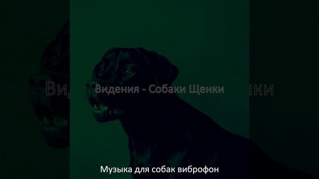Звуки (Собаки Щенки)